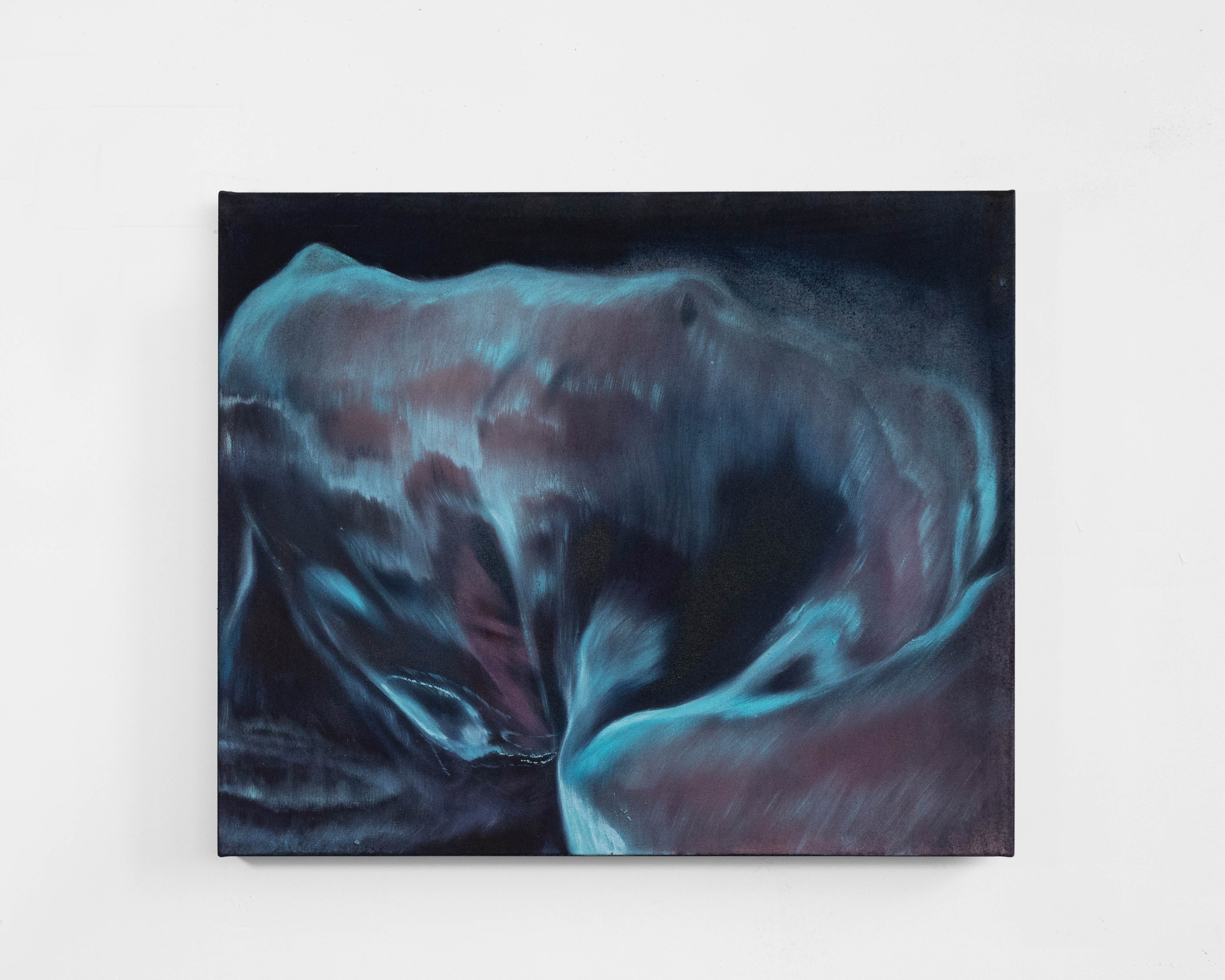 Aurora 极光 2023 50x60cm pigment,oil on canvas